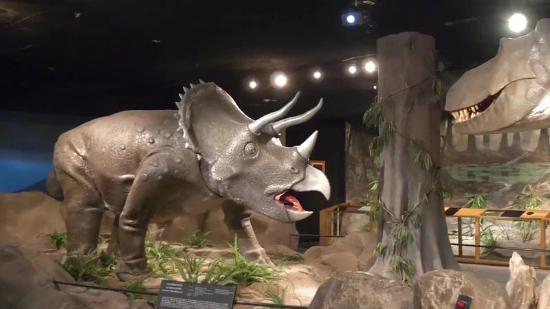 Las Vegas Science & Natural History Museum — image 4