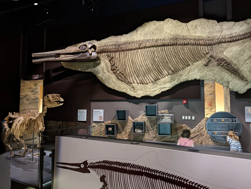 Las Vegas Science & Natural History Museum — image 6