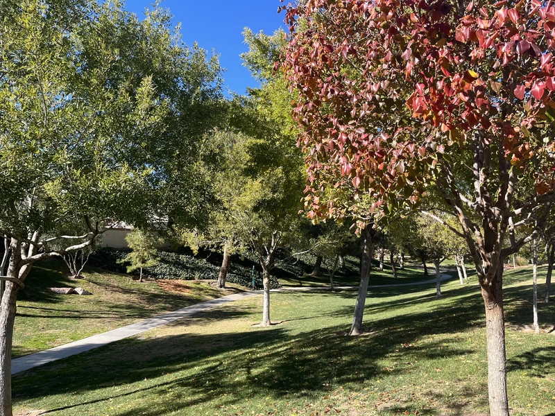 Exploration Peak Park — image 10