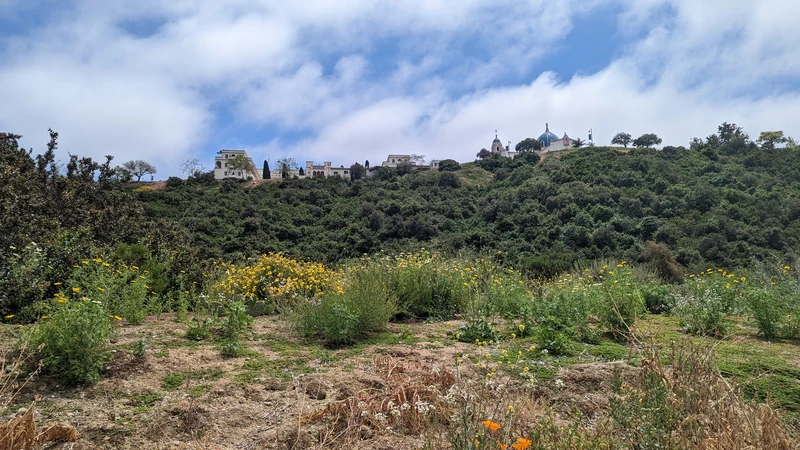 Tecolote Canyon Natural Park and Nature Center — image 1