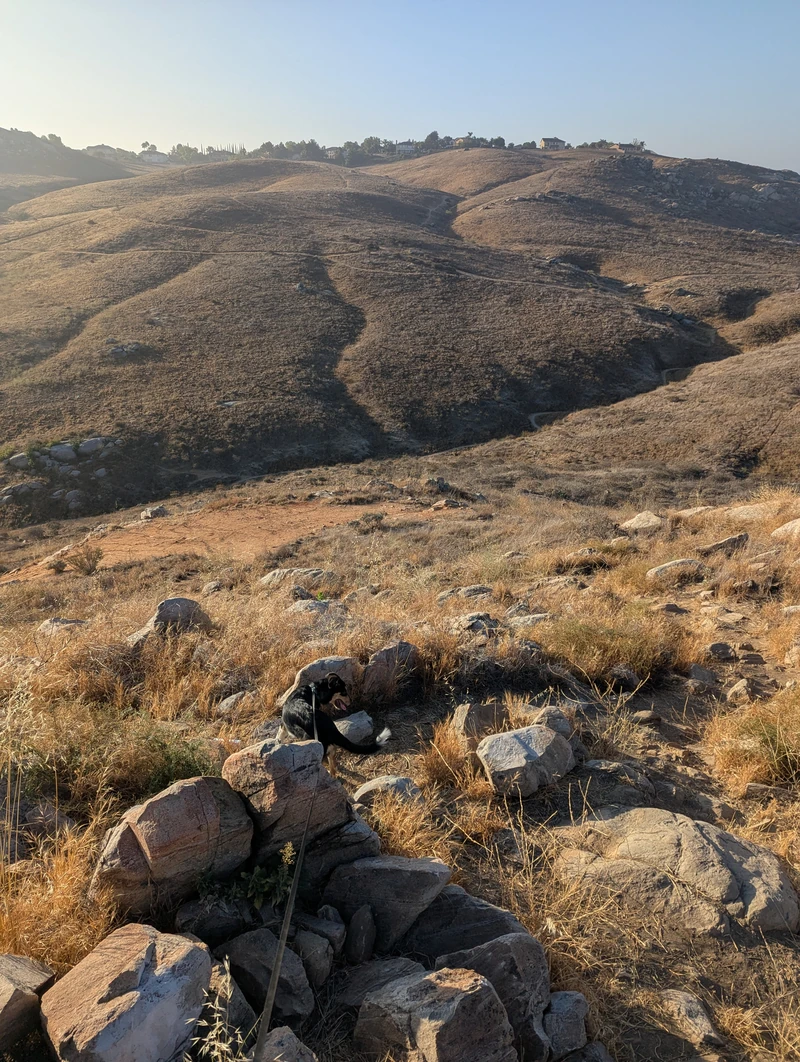 Sycamore Canyon Wilderness Park — image 1