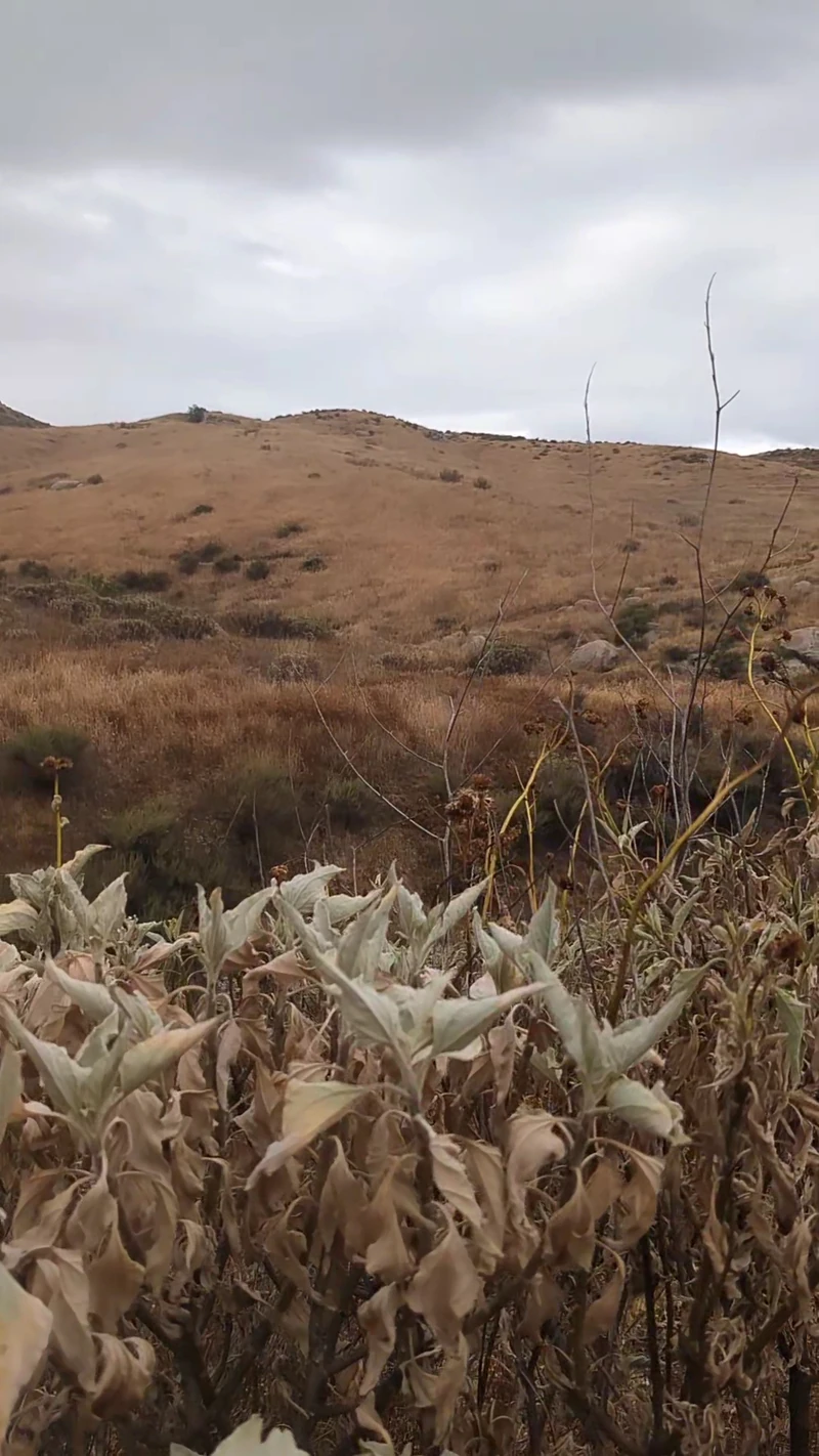 Sycamore Canyon Wilderness Park — image 2