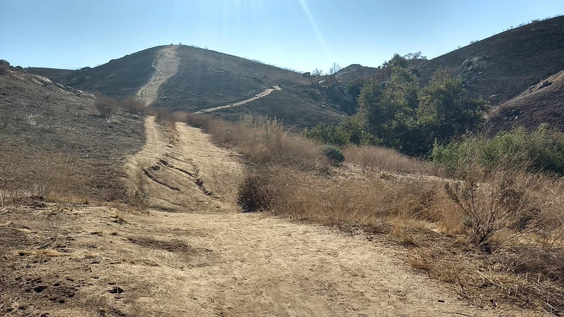 Sycamore Canyon Wilderness Park — image 8