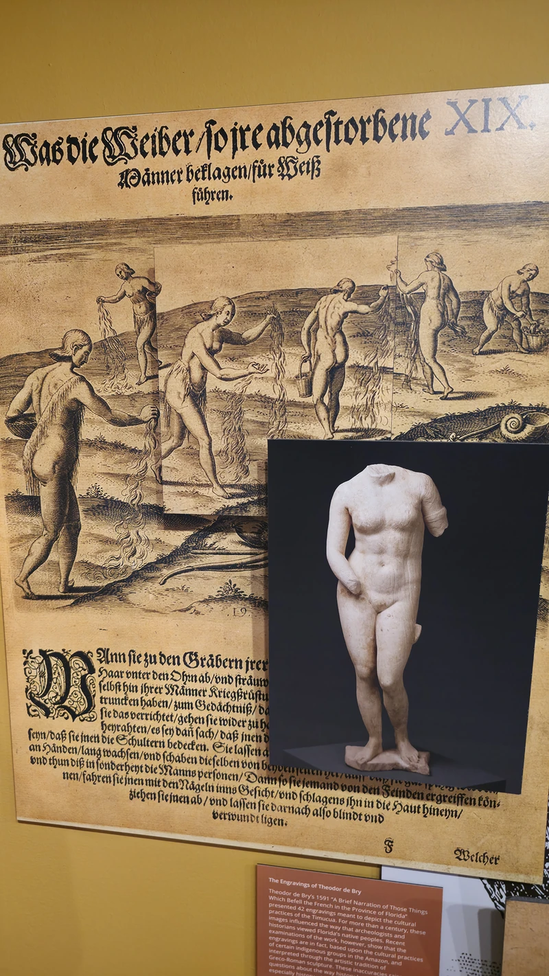 Art & History Museums of Maitland — image 2