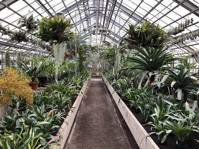 Heidelberg Botanical Garden — image 1