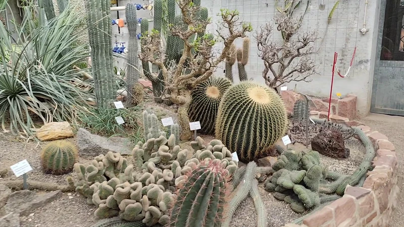 Heidelberg Botanical Garden — image 2