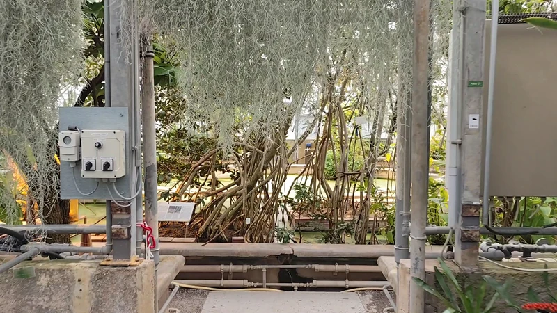 Heidelberg Botanical Garden — image 3
