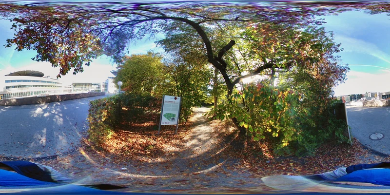 Heidelberg Botanical Garden — image 4