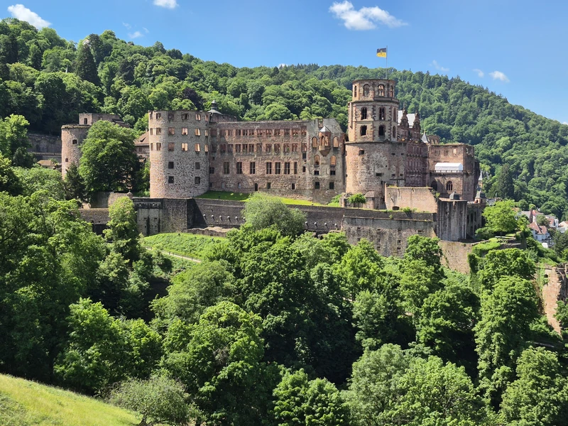 Heidelberg Botanical Garden — image 5