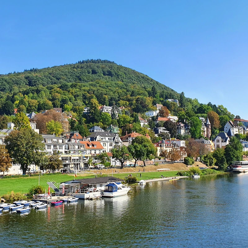 Heidelberg Botanical Garden — image 7
