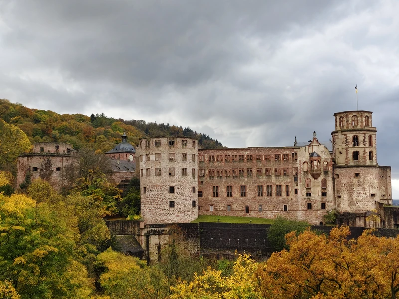Heidelberg Botanical Garden — image 8