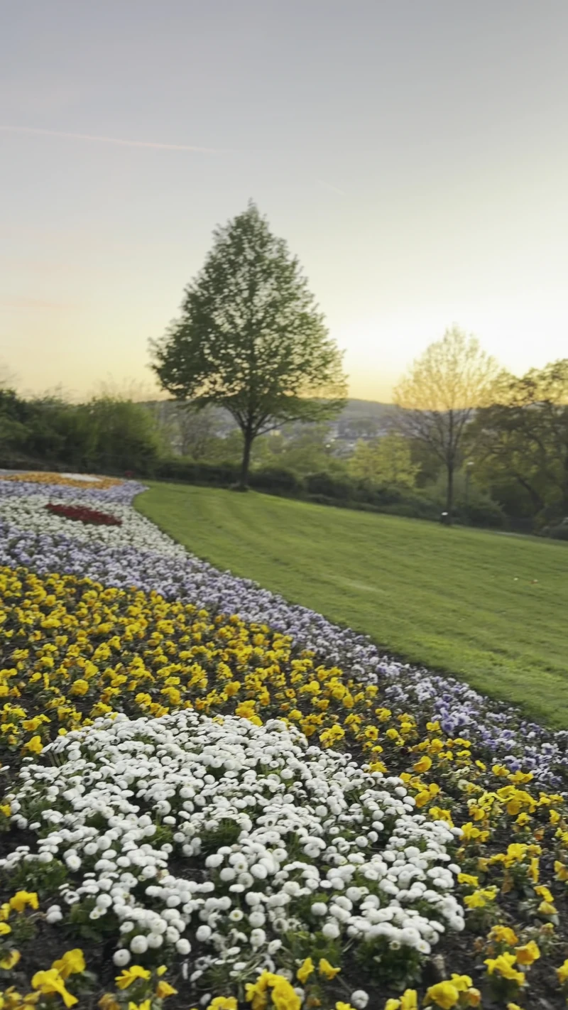 Botanical Garden — image 2