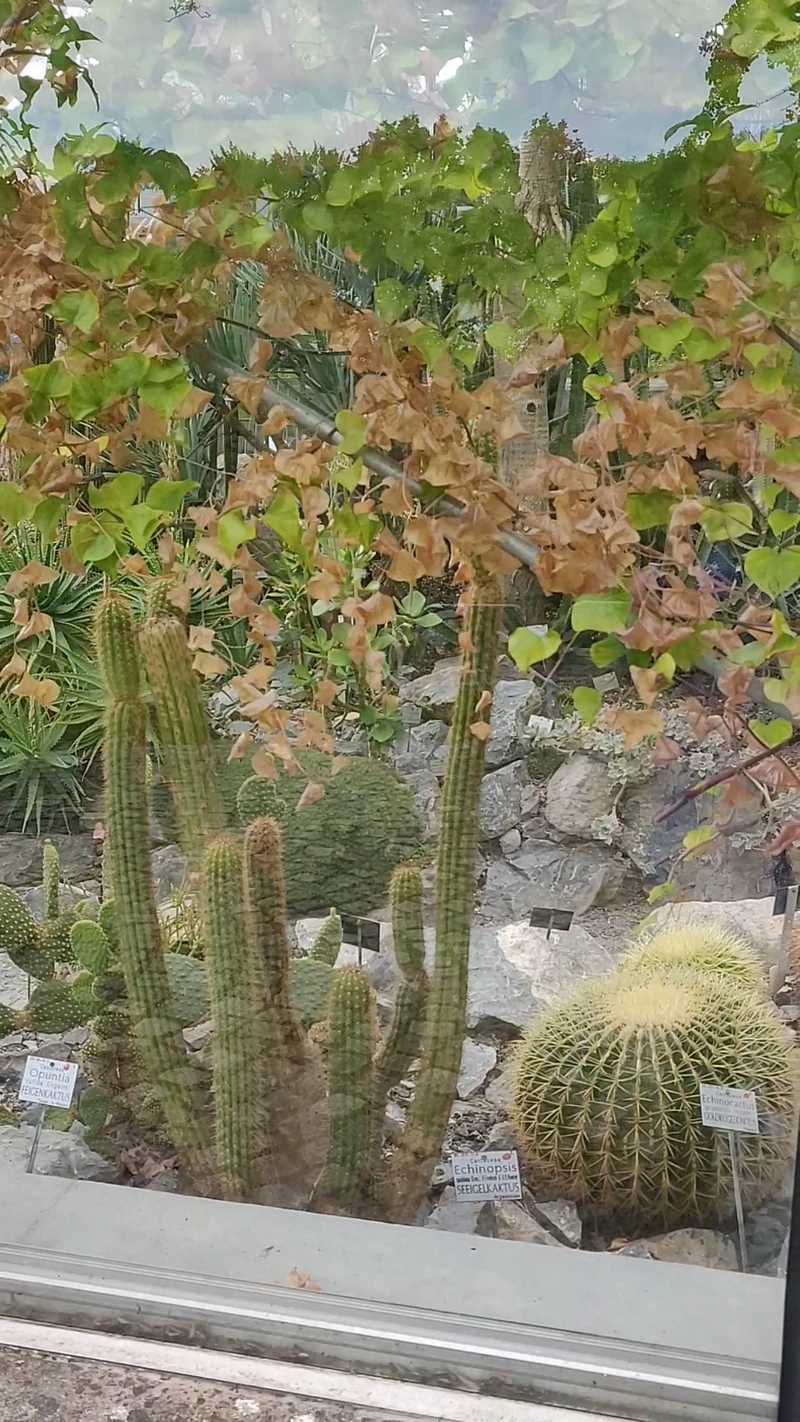 Botanical Garden — image 3