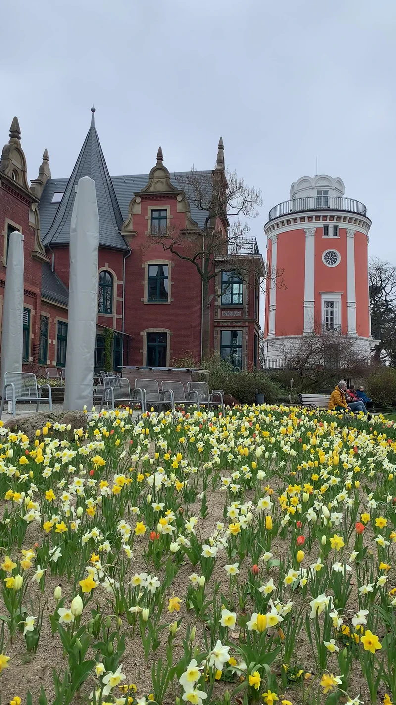Botanical Garden — image 4