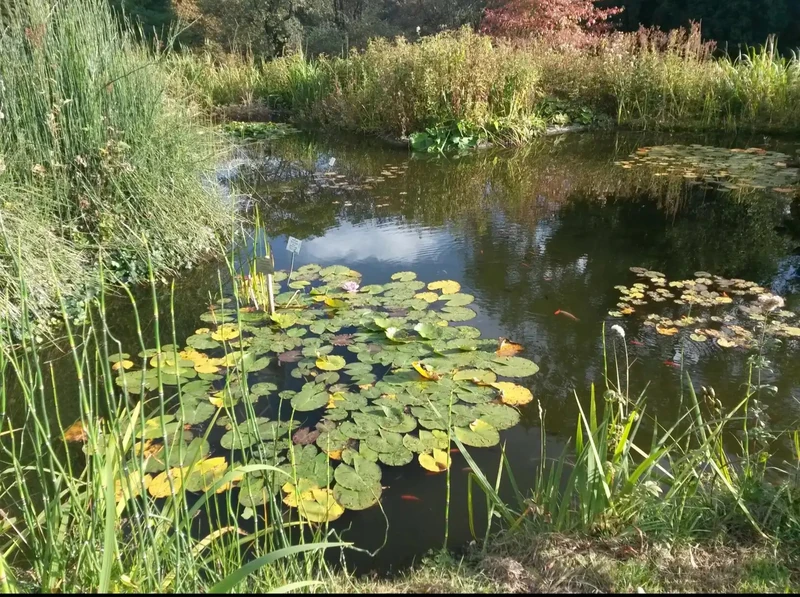 Botanical Garden — image 9