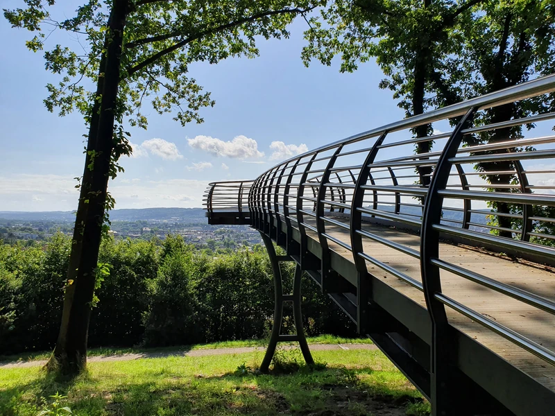 Botanical Garden — image 10