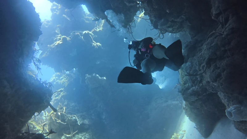 Agua Clara Diving Tulum — image 2