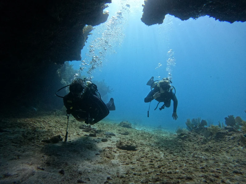 Agua Clara Diving Tulum — image 5