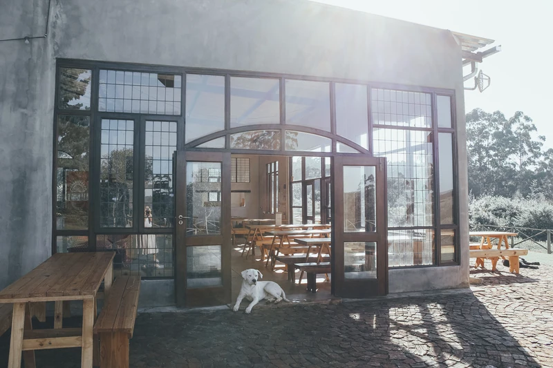 Zwakala Brewery — image 1