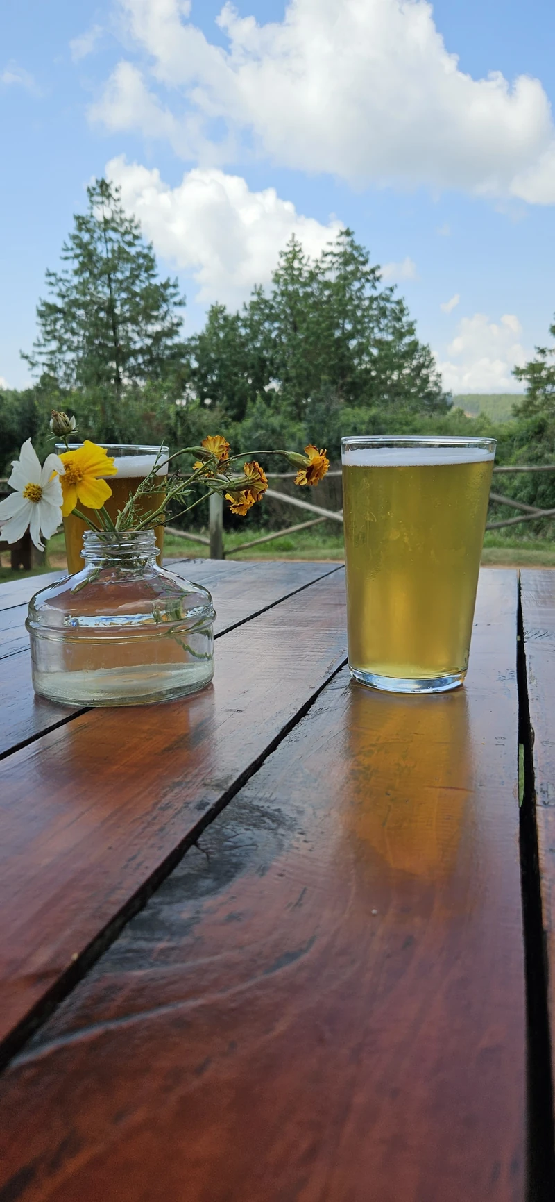 Zwakala Brewery — image 6